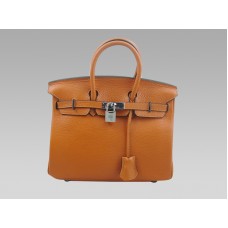 Hermes Birkin 25 Togo Pelle Arancione