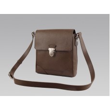 Louis Vuitton Taiga Pelle Luka Grizzli